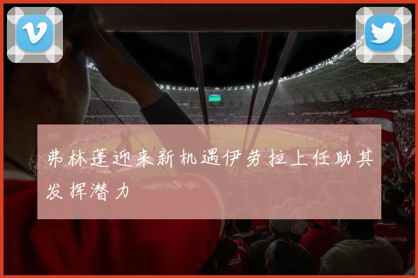 弗林蓬迎来新机遇伊劳拉上任助其发挥潜力