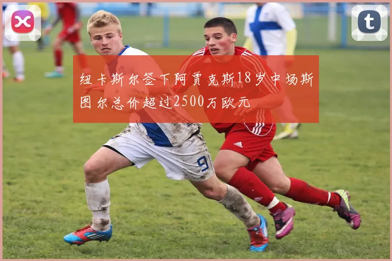 纽卡斯尔签下阿贾克斯18岁中场斯图尔总价超过2500万欧元