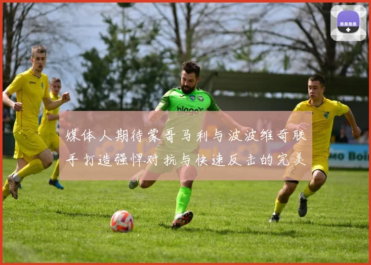 媒体人期待蒙哥马利与波波维奇联手打造强悍对抗与快速反击的完美结合